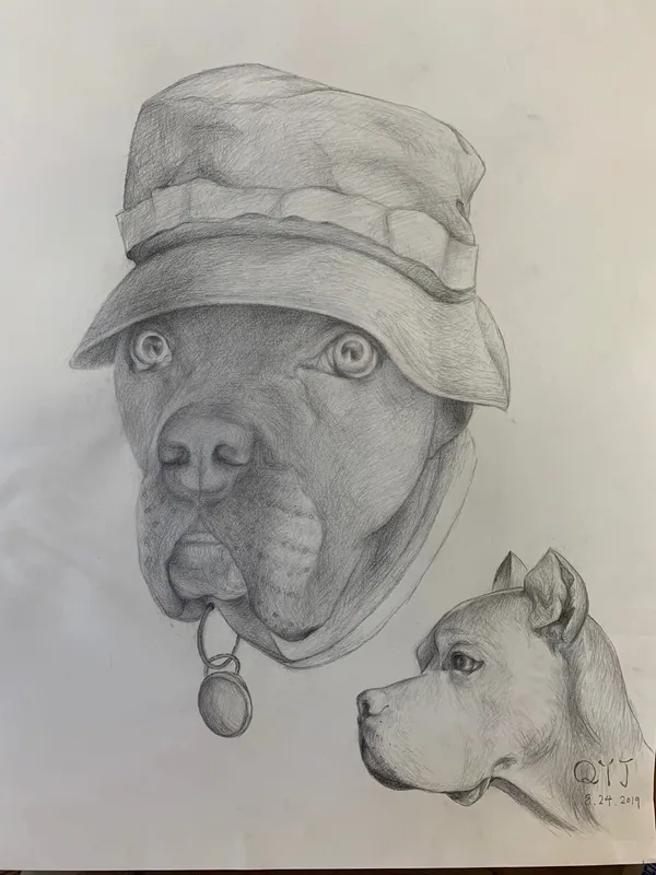 纸面上方是一只戴帽子和项圈的狗的正面头像,右下方另画有一只狗的侧面头像。