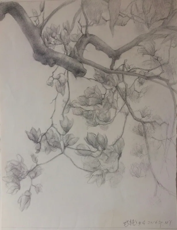 粗壮枝干横过画面上方,细枝向下垂落,枝头分布着花朵、花苞与叶片。